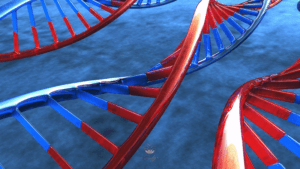 Genetics and DNA chains